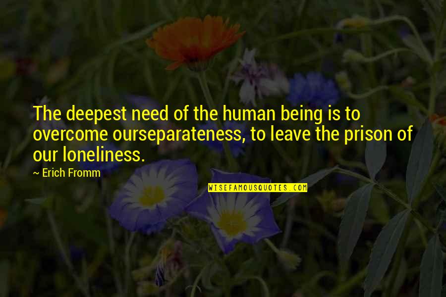 Anterieur Translate Quotes By Erich Fromm: The deepest need of the human being is