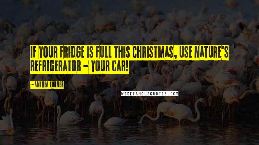 Anthea Turner quotes: If your fridge is full this Christmas, use nature's refrigerator - your car!