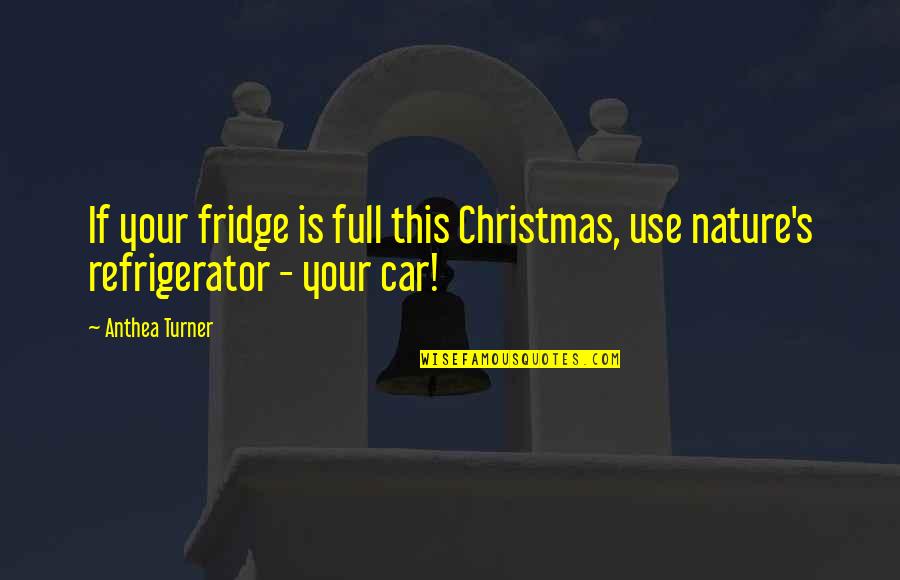 Anthea Turner Quotes By Anthea Turner: If your fridge is full this Christmas, use