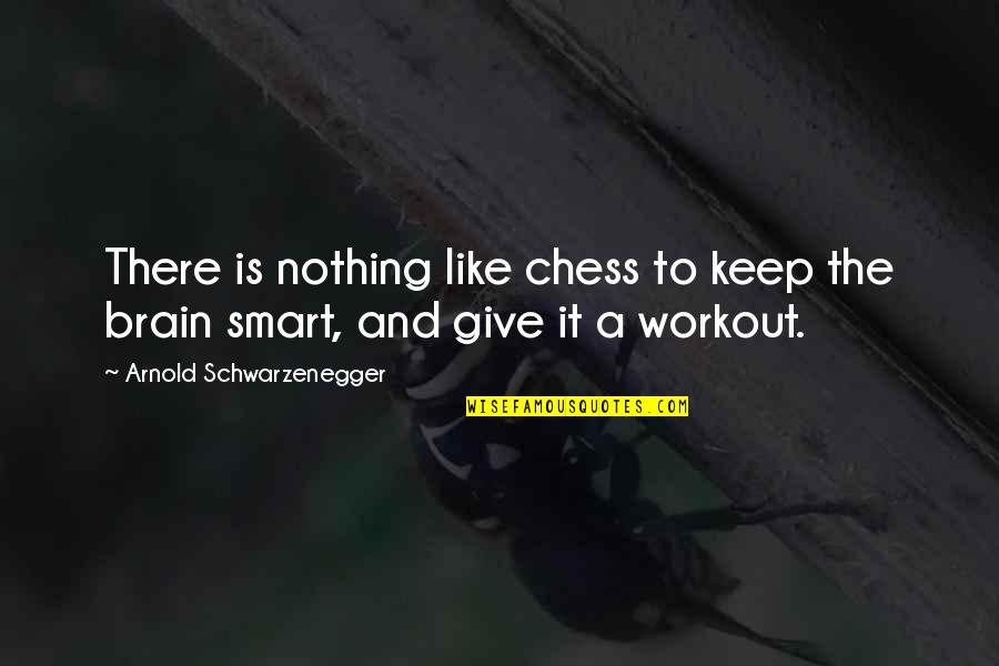 Antheunis Zwembaden Quotes By Arnold Schwarzenegger: There is nothing like chess to keep the