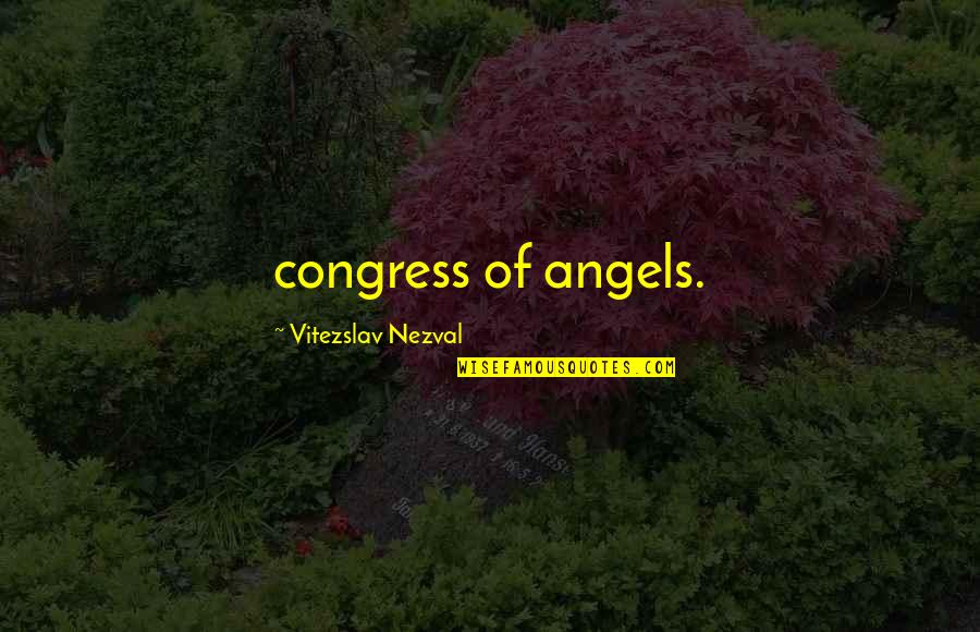 Anthocyanidins Structure Quotes By Vitezslav Nezval: congress of angels.