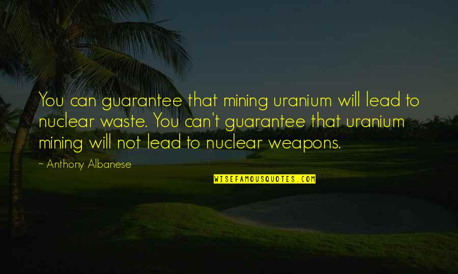 Anthony Albanese Quotes By Anthony Albanese: You can guarantee that mining uranium will lead