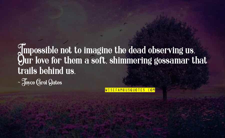 Anthony Bosch Quotes By Joyce Carol Oates: Impossible not to imagine the dead observing us. Anthony Bosch Quotes By Joyce Carol Oates: Impossible not to imagine the dead observing us.
