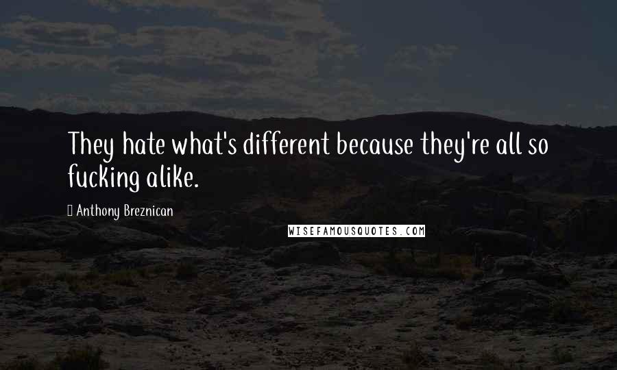 Anthony Breznican quotes: They hate what's different because they're all so fucking alike.