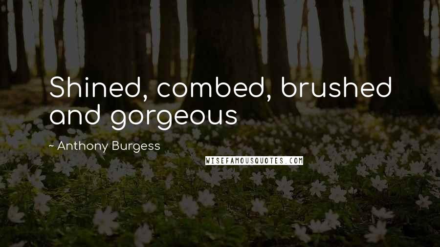 Anthony Burgess quotes: Shined, combed, brushed and gorgeous