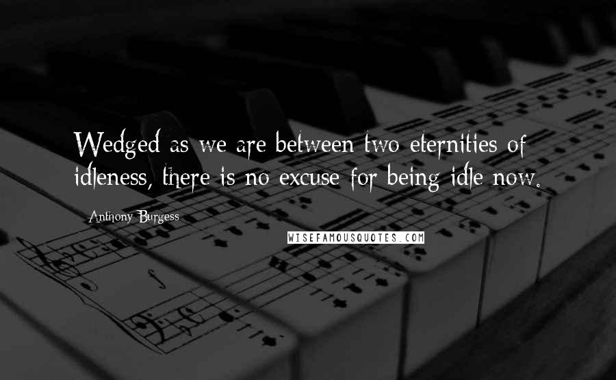 Anthony Burgess quotes: Wedged as we are between two eternities of idleness, there is no excuse for being idle now.