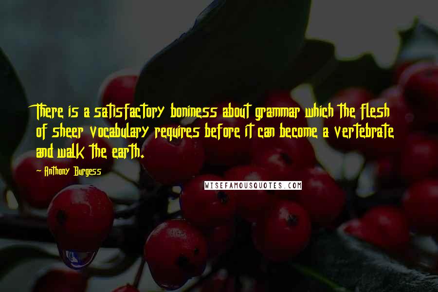 Anthony Burgess quotes: There is a satisfactory boniness about grammar which the flesh of sheer vocabulary requires before it can become a vertebrate and walk the earth. Anthony Burgess quotes: There is a satisfactory boniness about grammar which the flesh of sheer vocabulary requires before it can become a vertebrate and walk the earth.
