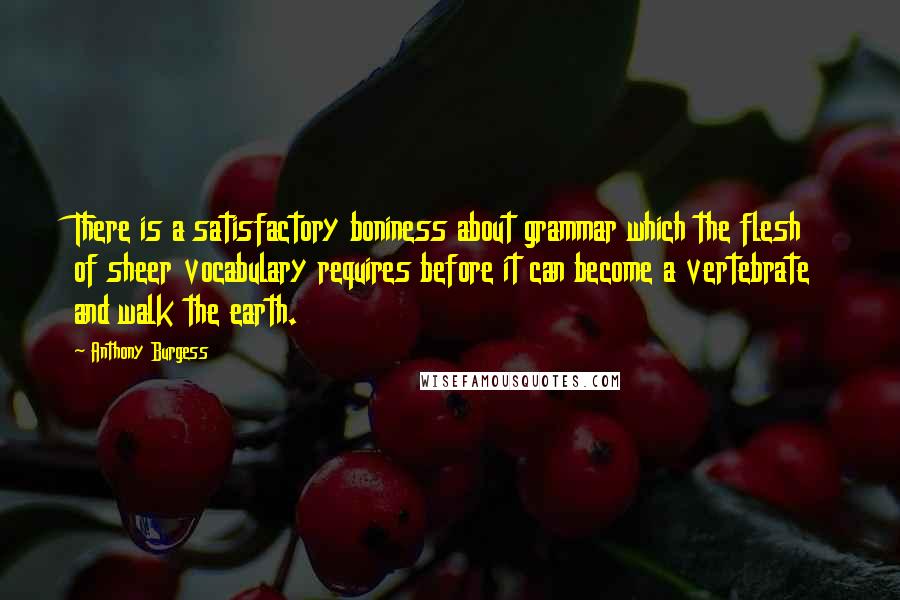 Anthony Burgess quotes: There is a satisfactory boniness about grammar which the flesh of sheer vocabulary requires before it can become a vertebrate and walk the earth.