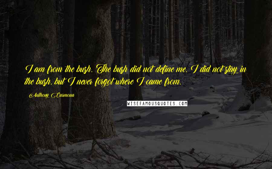 Anthony Carmona quotes: I am from the bush. The bush did not define me. I did not stay in the bush, but I never forgot where I came from.