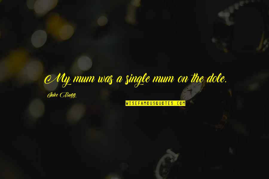 Anthony Claret Quotes By Jake Bugg: My mum was a single mum on the