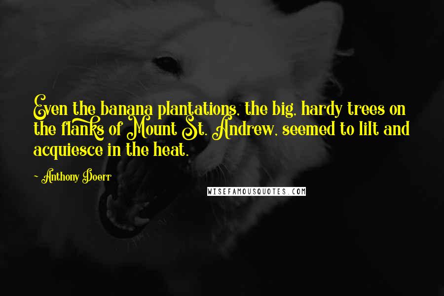 Anthony Doerr quotes: Even the banana plantations, the big, hardy trees on the flanks of Mount St. Andrew, seemed to lilt and acquiesce in the heat.