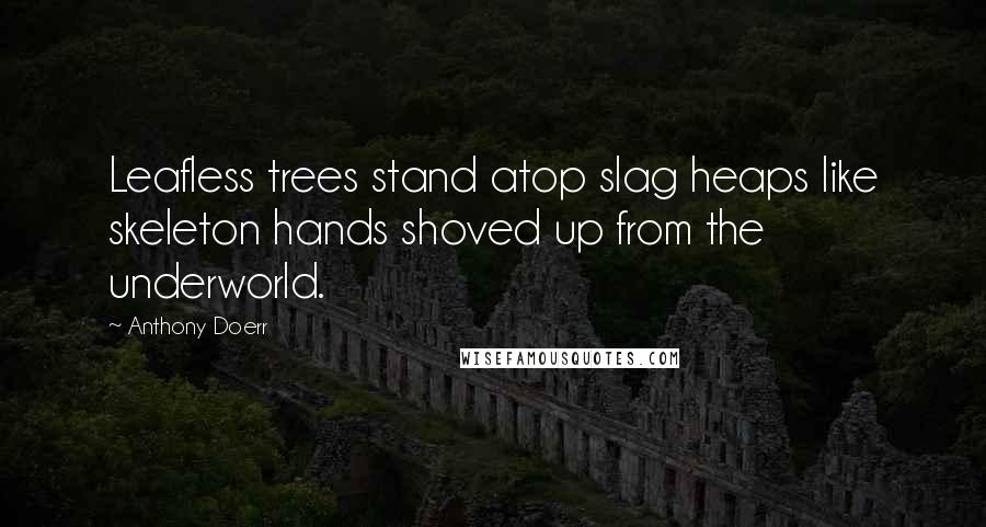 Anthony Doerr quotes: Leafless trees stand atop slag heaps like skeleton hands shoved up from the underworld.