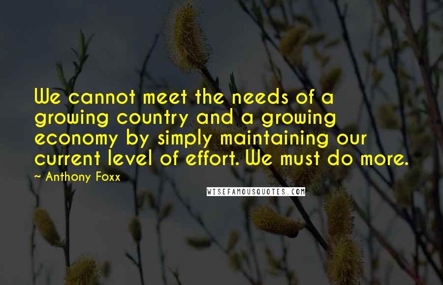 Anthony Foxx quotes: We cannot meet the needs of a growing country and a growing economy by simply maintaining our current level of effort. We must do more. Anthony Foxx quotes: We cannot meet the needs of a growing country and a growing economy by simply maintaining our current level of effort. We must do more.