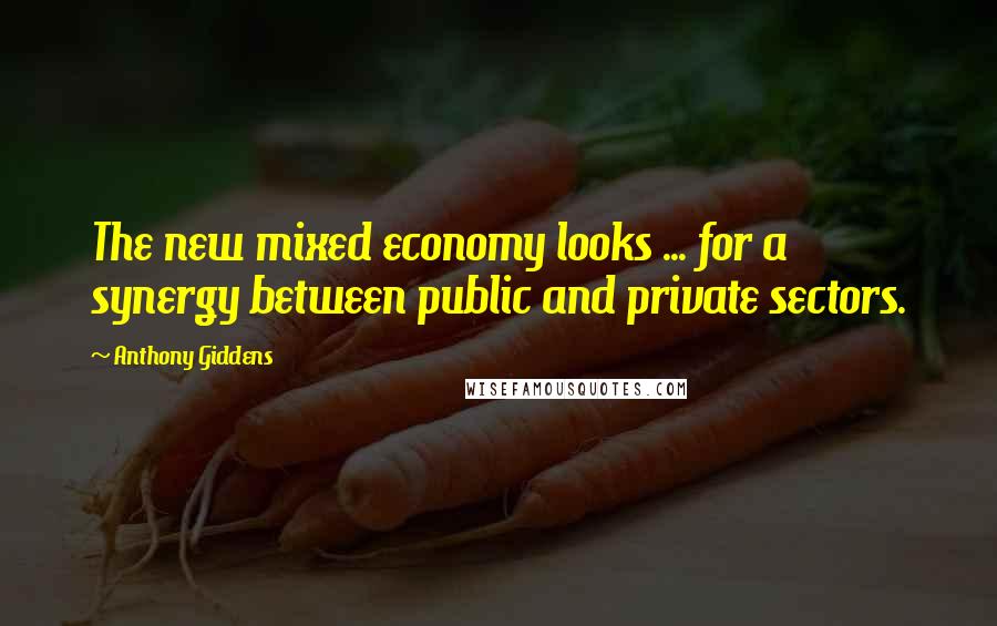 Anthony Giddens quotes: The new mixed economy looks ... for a synergy between public and private sectors.