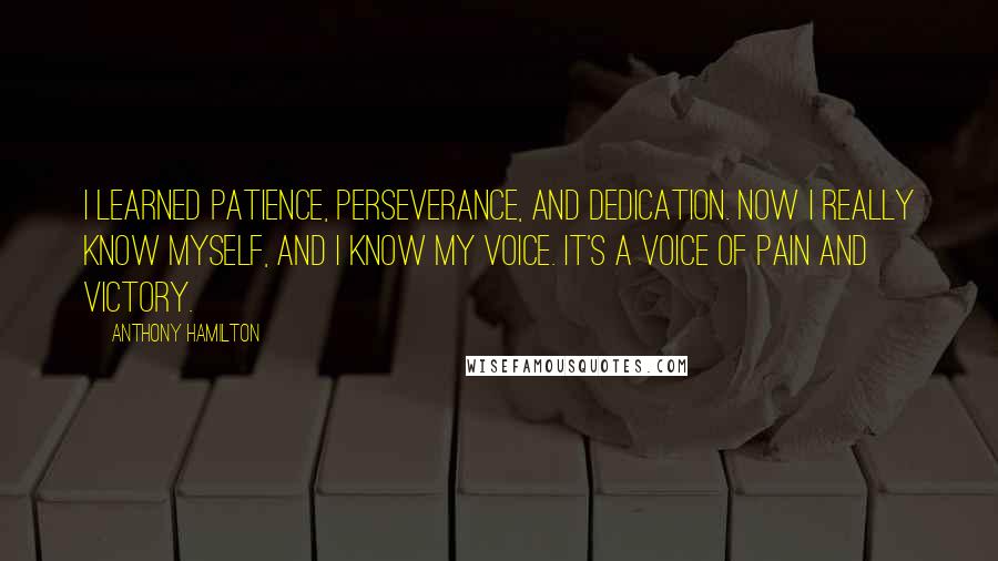 Anthony Hamilton quotes: I learned patience, perseverance, and dedication. Now I really know myself, and I know my voice. It's a voice of pain and victory.