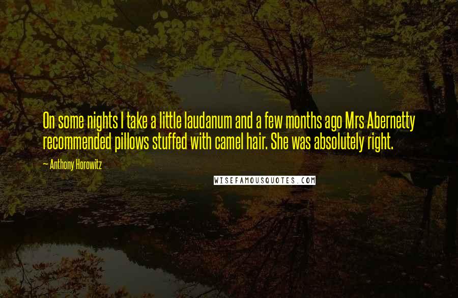 Anthony Horowitz quotes: On some nights I take a little laudanum and a few months ago Mrs Abernetty recommended pillows stuffed with camel hair. She was absolutely right.