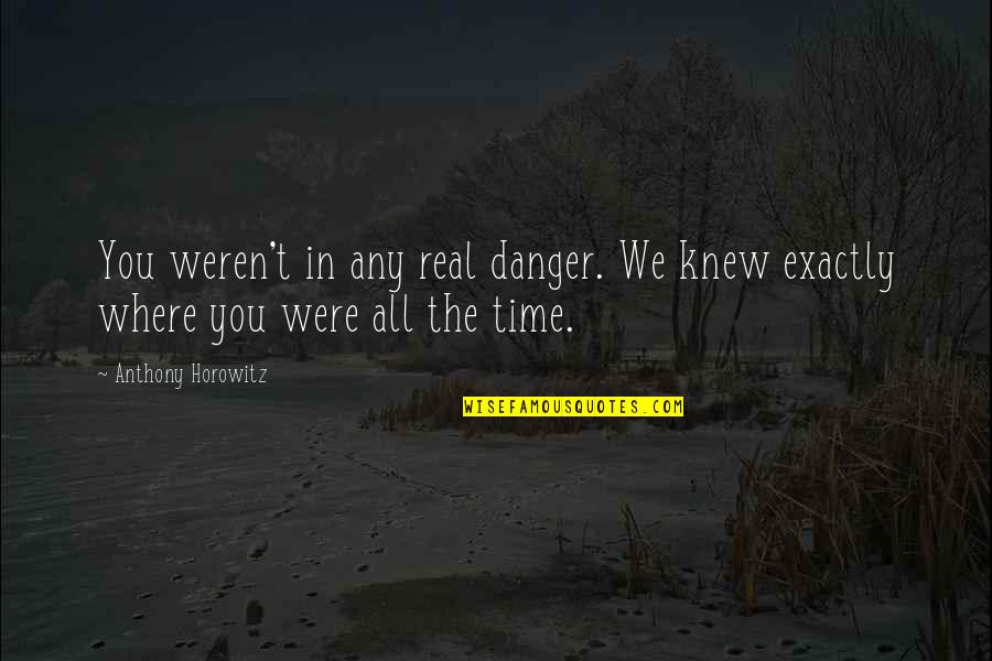 Anthony Horowitz Quotes By Anthony Horowitz: You weren't in any real danger. We knew