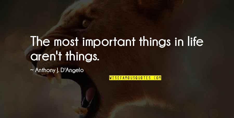 Anthony J D Angelo Quotes By Anthony J. D'Angelo: The most important things in life aren't things.