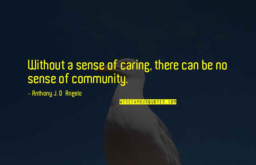 Anthony J D Angelo Quotes By Anthony J. D'Angelo: Without a sense of caring, there can be