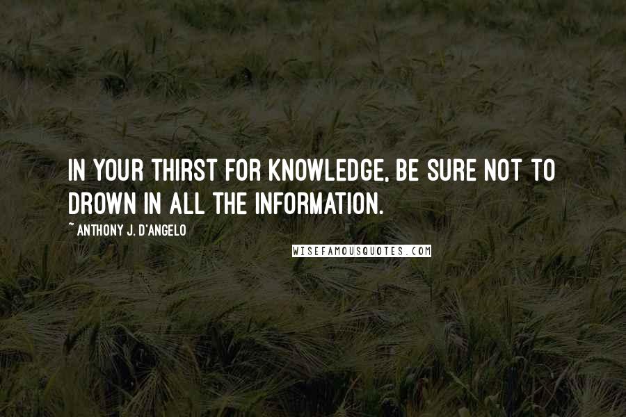 Anthony J. D'Angelo quotes: In your thirst for knowledge, be sure not to drown in all the information.