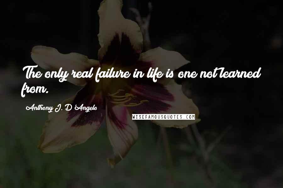 Anthony J. D'Angelo quotes: The only real failure in life is one not learned from.