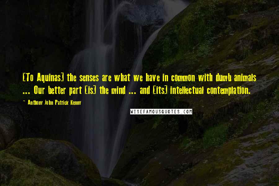 Anthony John Patrick Kenny quotes: [To Aquinas] the senses are what we have in common with dumb animals ... Our better part [is] the mind ... and [its] intellectual contemplation.