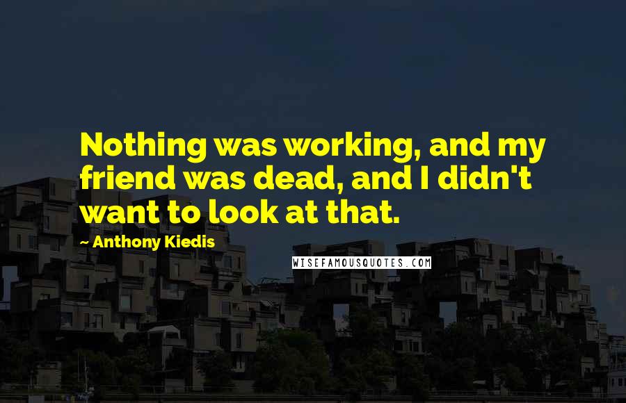 Anthony Kiedis quotes: Nothing was working, and my friend was dead, and I didn't want to look at that.