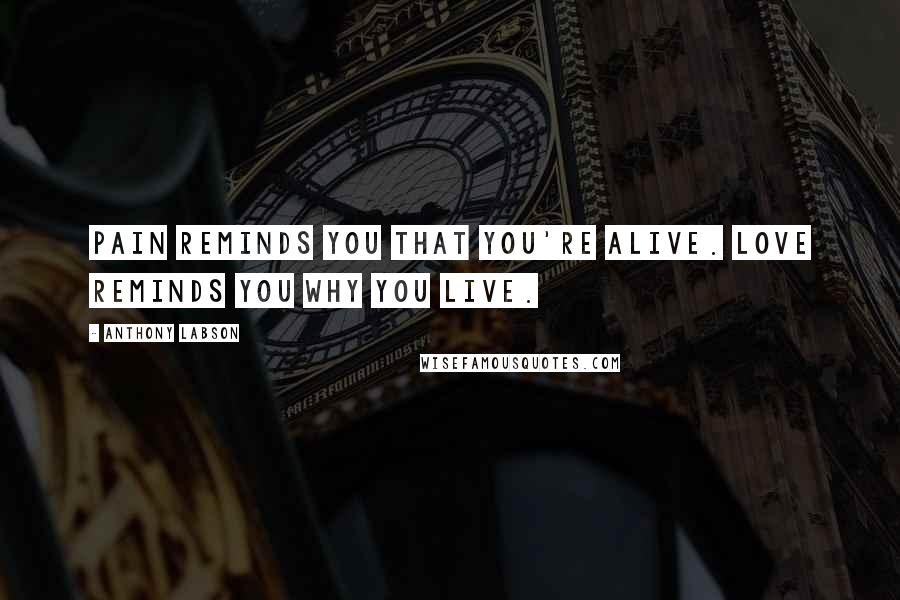 Anthony Labson quotes: Pain reminds you that you're alive. Love reminds you why you live.