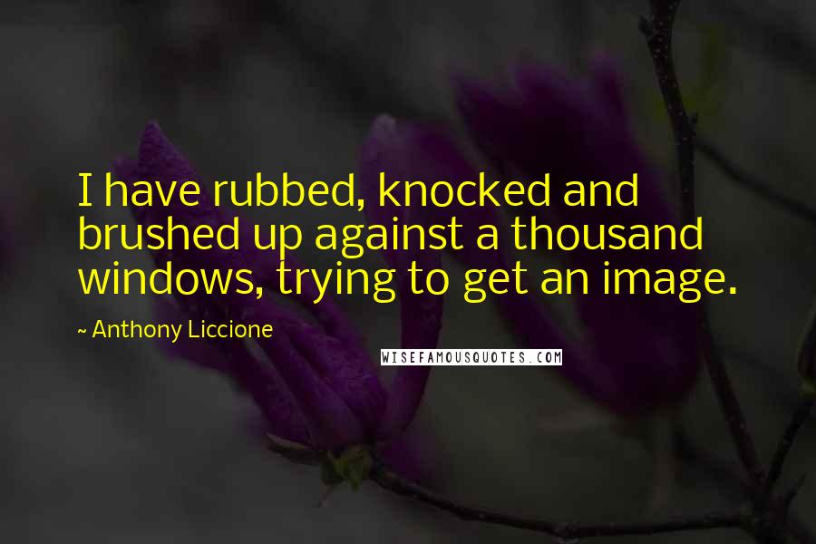 Anthony Liccione quotes: I have rubbed, knocked and brushed up against a thousand windows, trying to get an image.