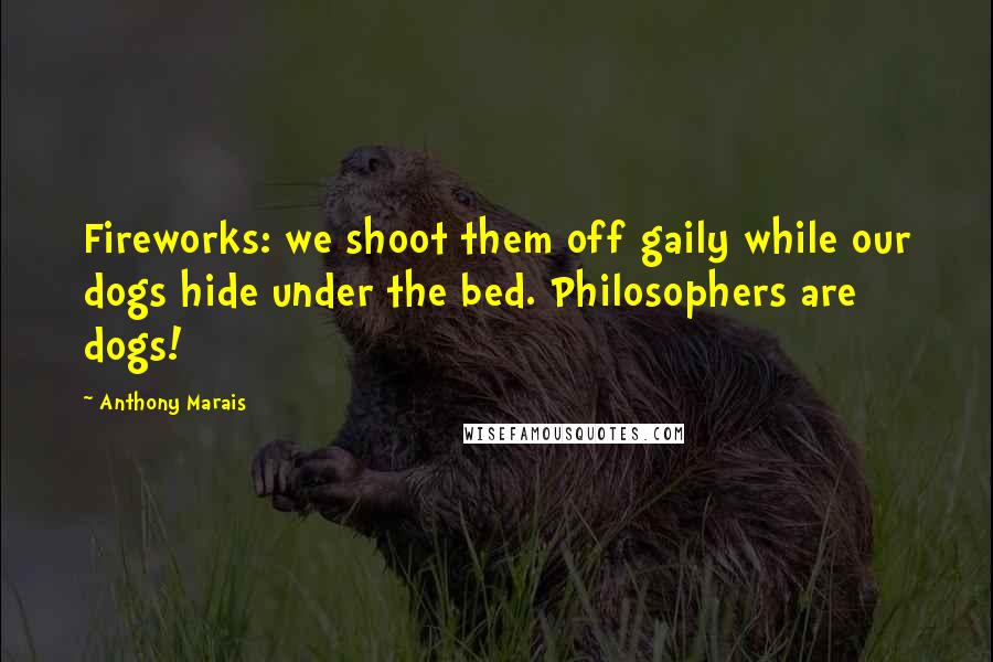 Anthony Marais quotes: Fireworks: we shoot them off gaily while our dogs hide under the bed. Philosophers are dogs!