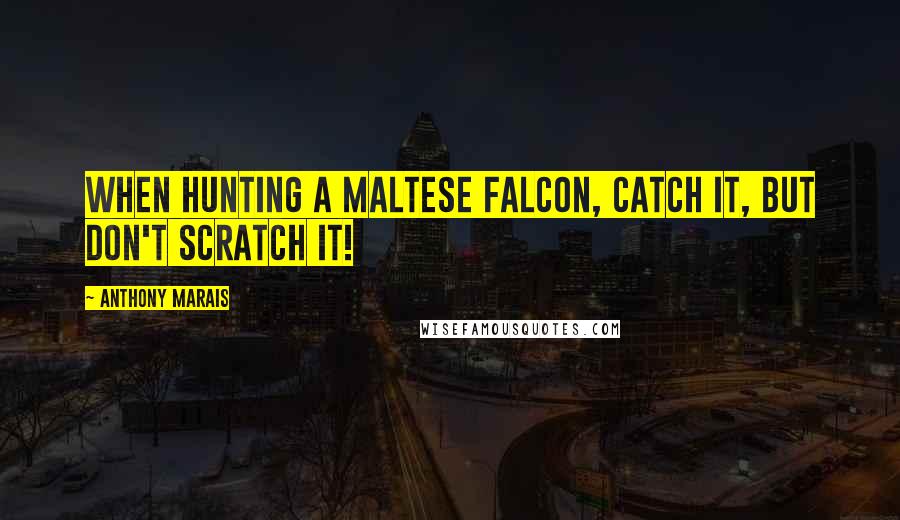 Anthony Marais quotes: When hunting a Maltese Falcon, catch it, but don't scratch it!