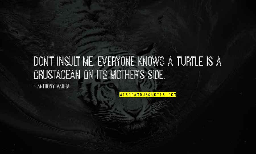 Anthony Marra Quotes By Anthony Marra: Don't insult me. Everyone knows a turtle is