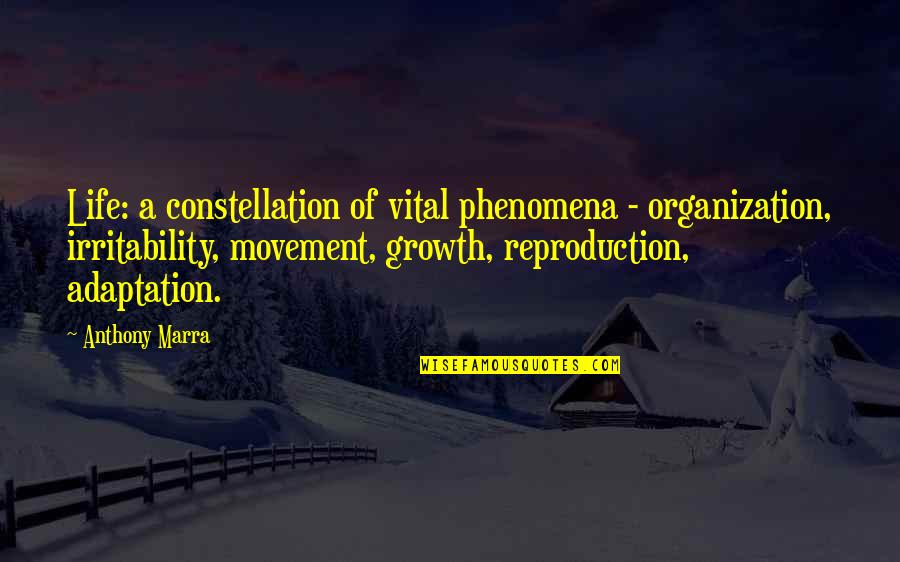 Anthony Marra Quotes By Anthony Marra: Life: a constellation of vital phenomena - organization,