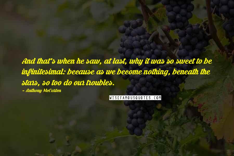 Anthony McCarten quotes: And that's when he saw, at last, why it was so sweet to be infinitesimal: because as we become nothing, beneath the stars, so too do our troubles.