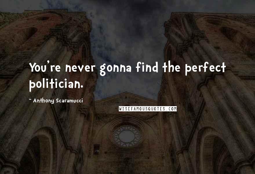 Anthony Scaramucci quotes: You're never gonna find the perfect politician.
