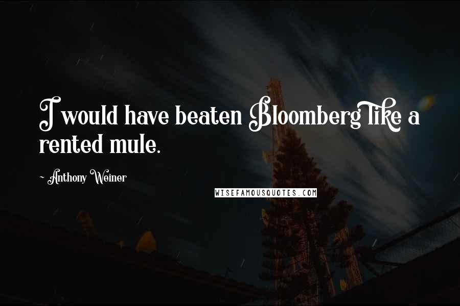 Anthony Weiner quotes: I would have beaten Bloomberg like a rented mule.