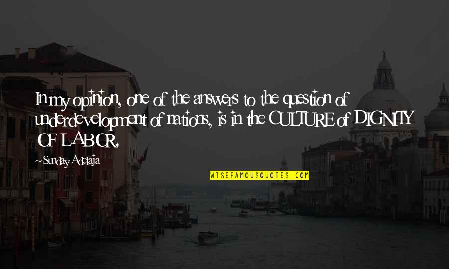 Anthropics Portrait Quotes By Sunday Adelaja: In my opinion, one of the answers to Anthropics Portrait Quotes By Sunday Adelaja: In my opinion, one of the answers to