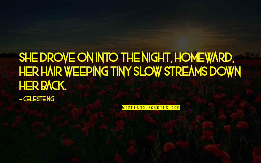 Anthroposophie Bedeutung Quotes By Celeste Ng: She drove on into the night, homeward, her Anthroposophie Bedeutung Quotes By Celeste Ng: She drove on into the night, homeward, her