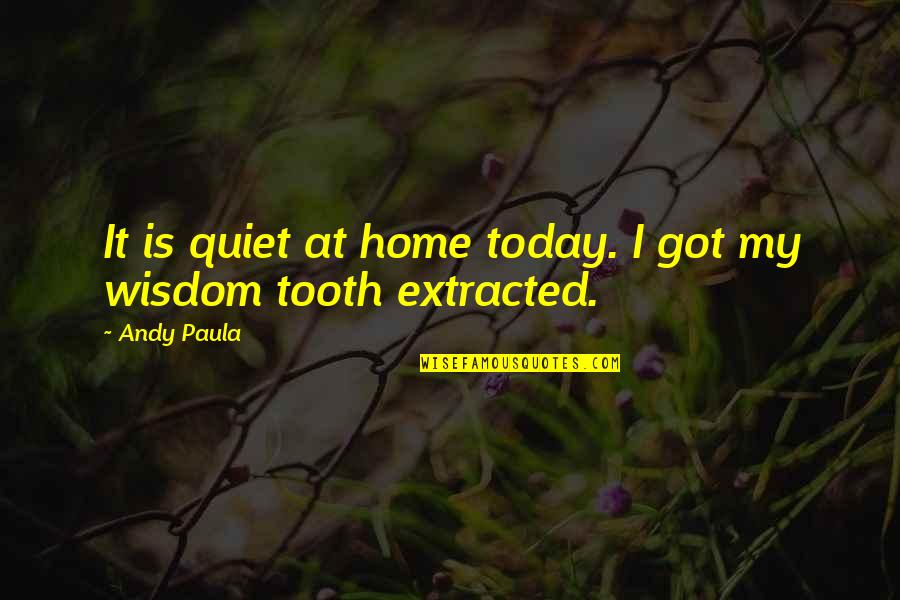 Anthroposophie Impfung Quotes By Andy Paula: It is quiet at home today. I got
