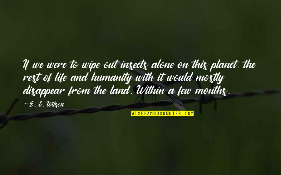 Anthroposophy In Missoula Quotes By E. O. Wilson: If we were to wipe out insects alone Anthroposophy In Missoula Quotes By E. O. Wilson: If we were to wipe out insects alone