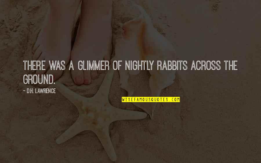 Anthrozoology Degree Quotes By D.H. Lawrence: There was a glimmer of nightly rabbits across