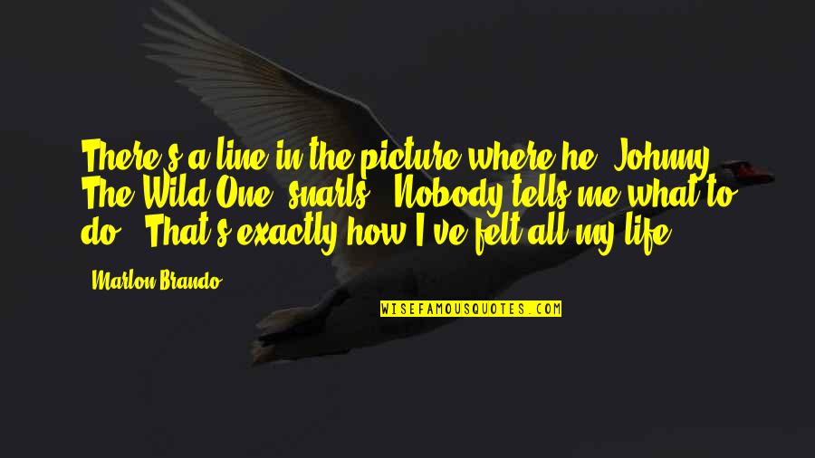 Anti Authoritarian Quotes By Marlon Brando: There's a line in the picture where he