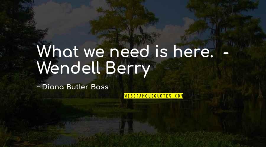 Anti Cracker Diwali Quotes By Diana Butler Bass: What we need is here. - Wendell Berry