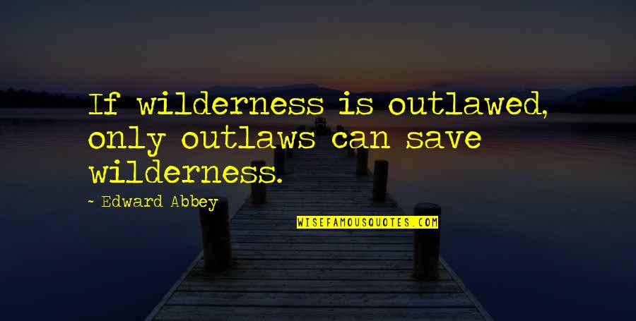 Anti Depression Quotes By Edward Abbey: If wilderness is outlawed, only outlaws can save