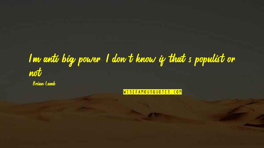 Anti-discouragement Quotes By Brian Lamb: I'm anti-big power. I don't know if that's