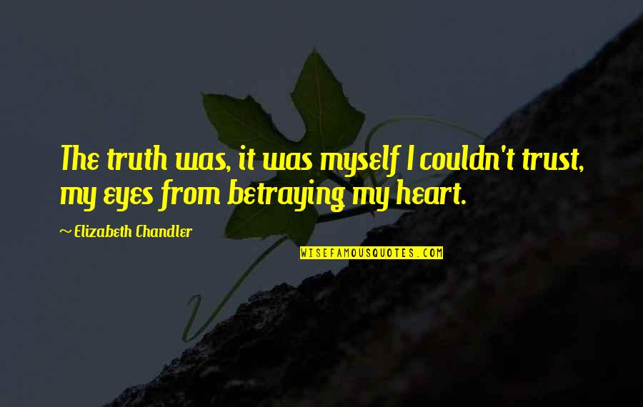 Anti Legalism Quotes By Elizabeth Chandler: The truth was, it was myself I couldn't