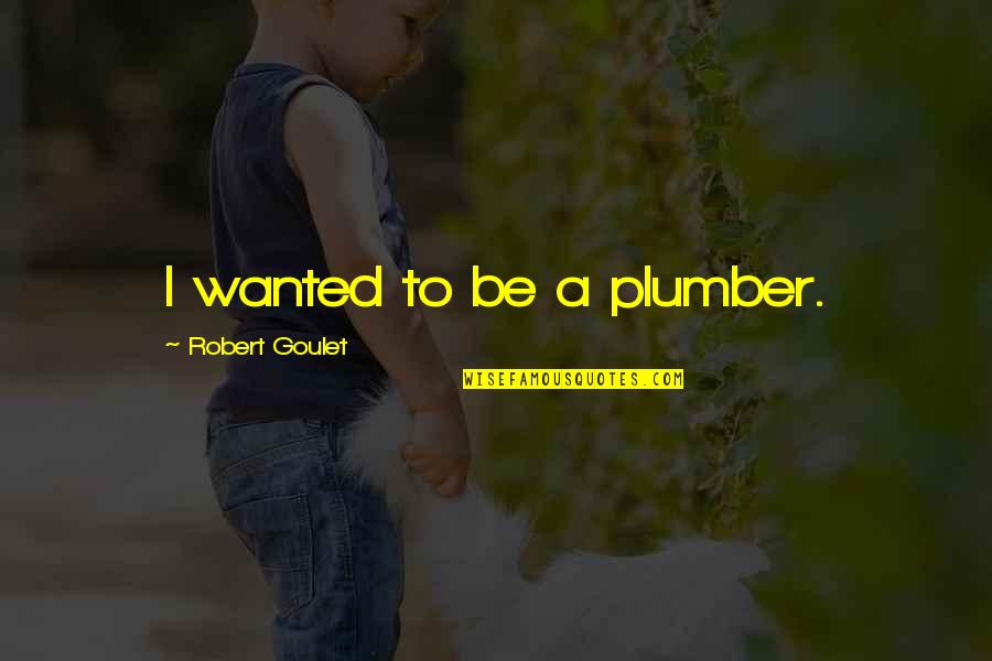 Anti Modernism Quotes By Robert Goulet: I wanted to be a plumber.