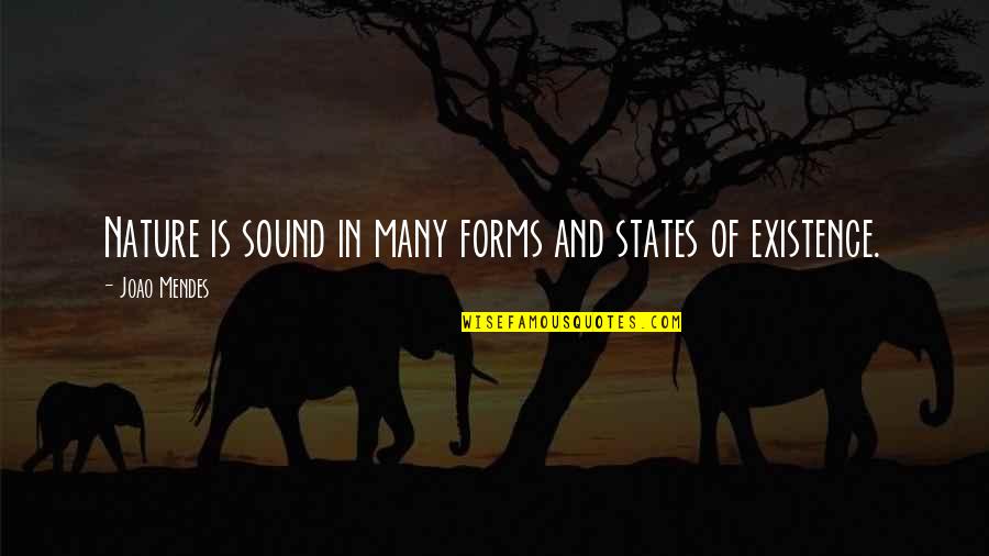Anti Racism Quotes By Joao Mendes: Nature is sound in many forms and states