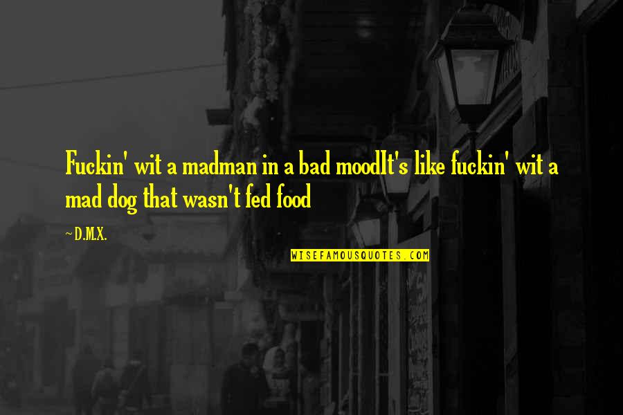 Anti Vegetarianism Quotes By D.M.X.: Fuckin' wit a madman in a bad moodIt's