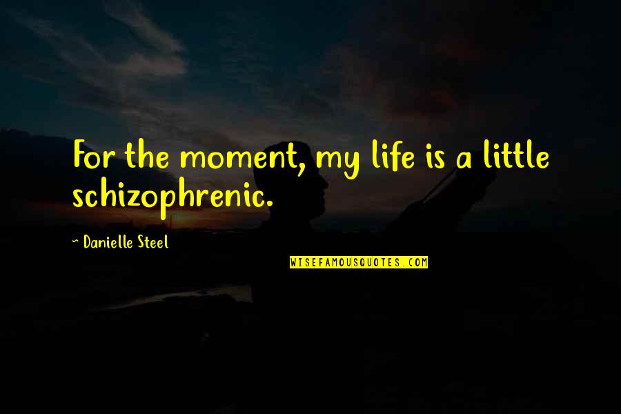 Antiabstract Quotes By Danielle Steel: For the moment, my life is a little
